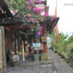 ウブドのプネスタナンという地域にあります ウブドのプネスタナンという地域にあります